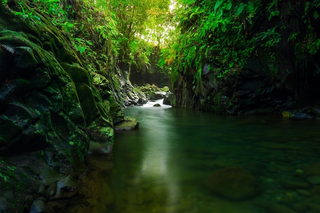 Paisagem indonésia pela manhã com uma cachoeira dentro de uma bela floresta tropical