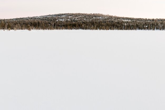 Paisagem inverno, em, kiruna, lapland, suécia