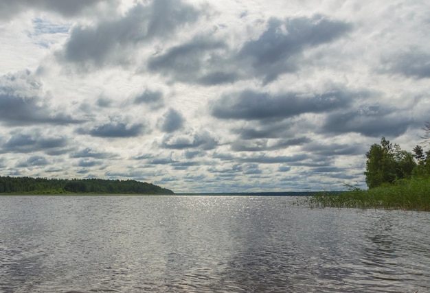 Paisagem, lago e costa arborizada com juncos.