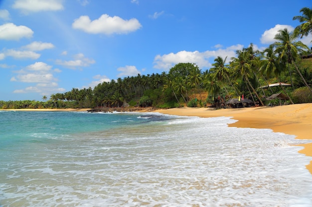 Paisagem linda praia tropical