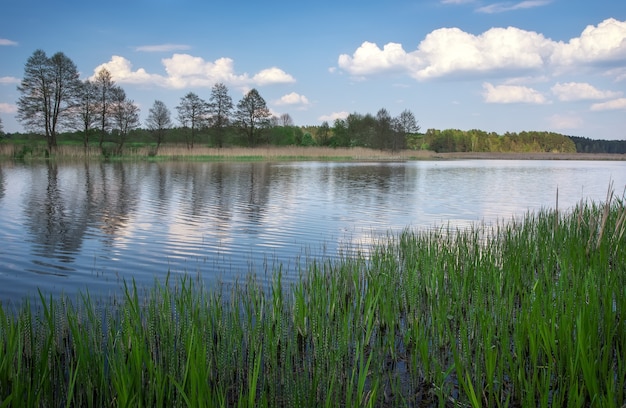 Paisagem linda primavera com rio, árvores e céu azul. Composição da natureza