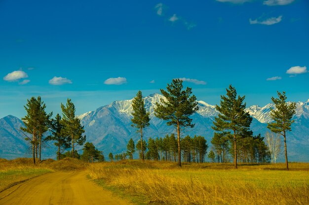 Paisagem linda primavera das montanhas ocidentais de sayan.