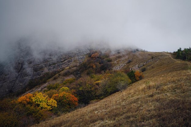 Paisagem majestosa da montanha da manhã com floresta colorida e céu nublado