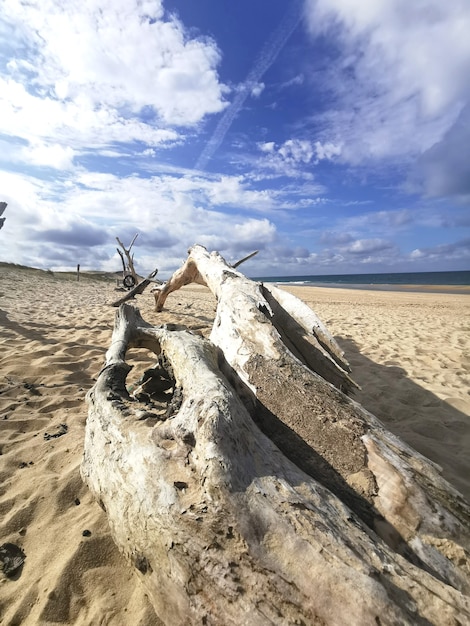 Paisagem marítima relaxante, céus e quietude do oceano