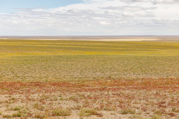 Paisagem mongol no deserto de gobi