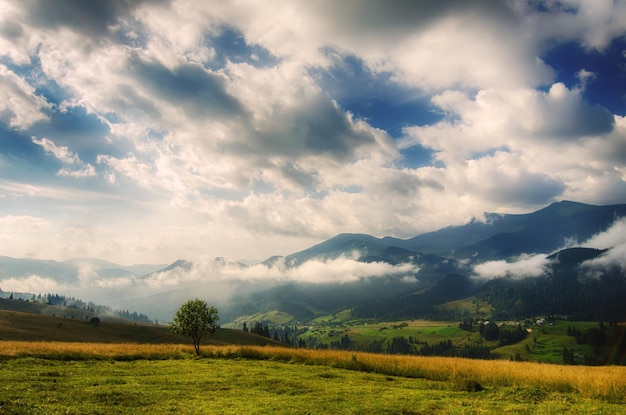 Paisagem Montanha de Verão