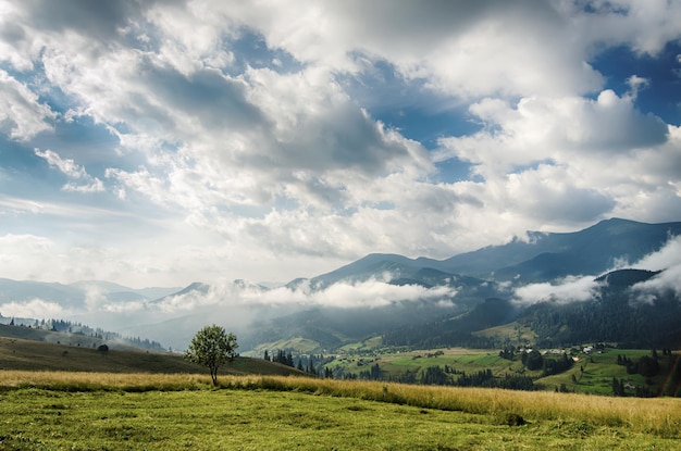 Paisagem Montanha de Verão