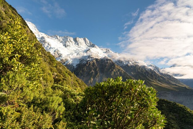 Paisagem montanhosa a partir da caminhada de Sealy tarns no Parque Nacional do Monte Cook de Aoraki