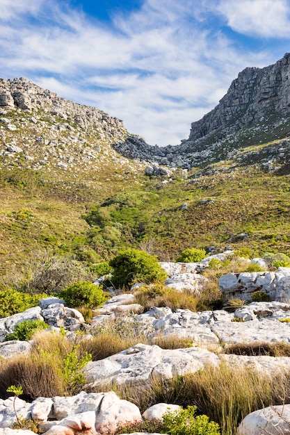 Paisagem montanhosa acidentada com flora de matagal fynbos na Cidade do Cabo, África do Sul