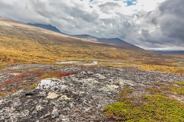 Paisagem montanhosa com algodoeiro no parque nacional da Suécia Sarek ao redor da pista Royal em clima tempestuoso