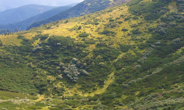 Paisagem montanhosa com encostas verdes