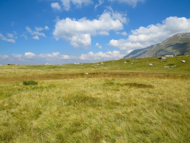 Paisagem montanhosa com grama seca sob um céu nublado