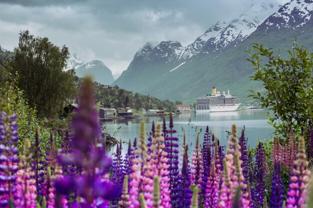 Paisagem montanhosa com navio de cruzeiro e tremoço rosa, noruega