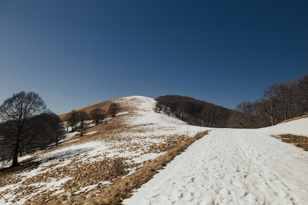 Paisagem montanhosa com neve, árvores, grama e céu azul