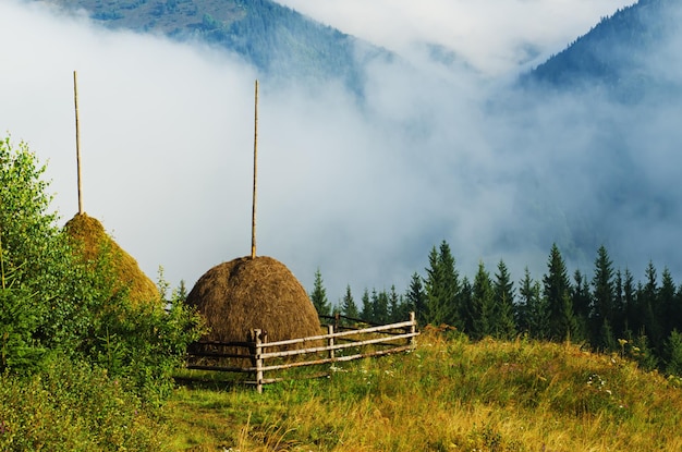 Paisagem montanhosa com palheiros