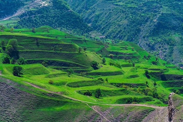 Paisagem montanhosa com terraços agrícolas verdes nas encostas