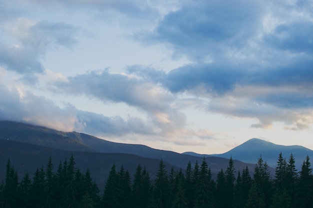 Paisagem montanhosa com vida selvagem de nuvens