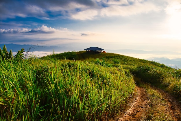 Paisagem montanhosa da província Tailândia de Doi Suan Ya Luang Nan