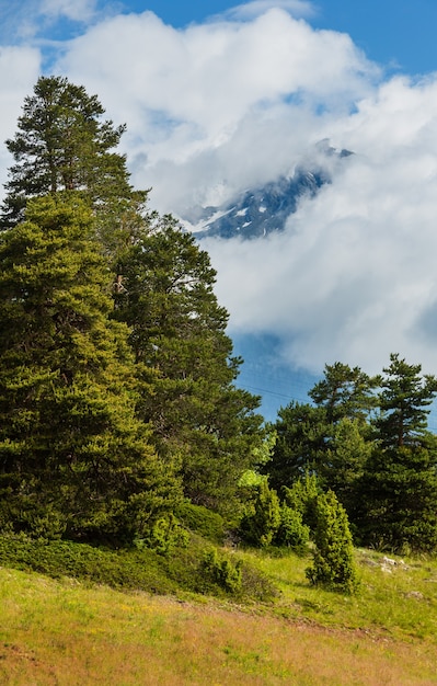 Foto paisagem montanhosa de alpes de verão com flores silvestres na encosta de pastagem e pico nas nuvens, suíça.
