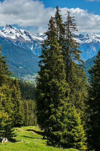 Paisagem montanhosa de alpes de verão com floresta de abetos em encosta e topos rochosos cobertos de neve em agora, na áustria.