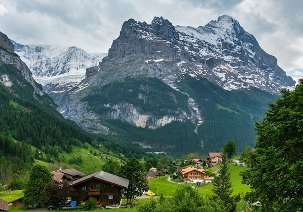 Paisagem montanhosa de alpes de verão com floresta de abetos em encosta e topos rochosos cobertos de neve em longe, na suíça. vista do país.