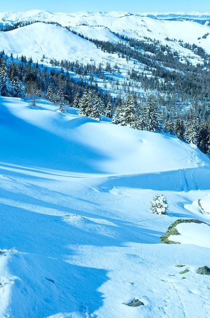 Paisagem montanhosa de inverno com abetos nevados na encosta (região de Hochkoenig, Áustria)