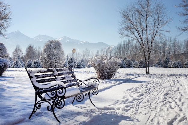 Paisagem montanhosa de inverno de banco com estrada de neve e árvores no parque