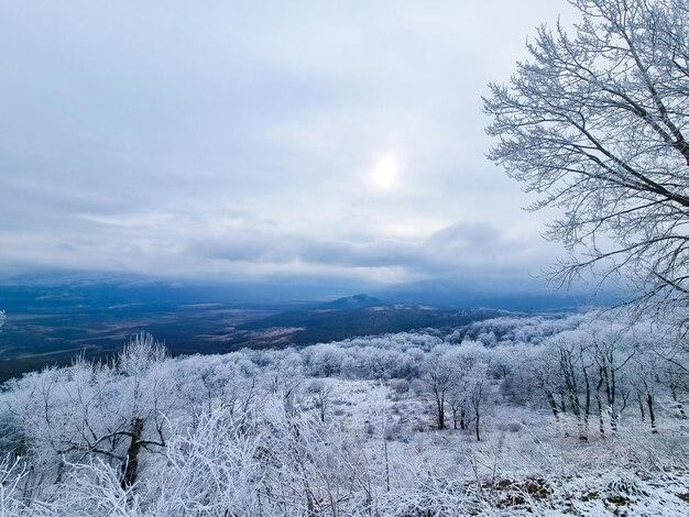 Paisagem montanhosa de inverno Floresta e montanhas cobertas de neve