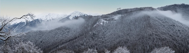 Paisagem montanhosa de inverno Panorama da paisagem de inverno da Cordilheira nos Alpes Linda paisagem de inverno com árvores cobertas de neve