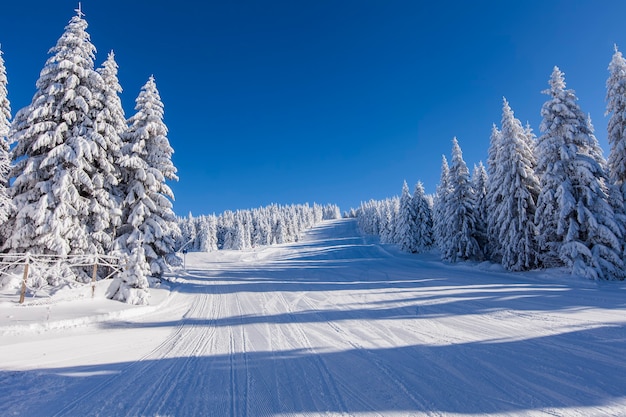 Paisagem montanhosa de inverno