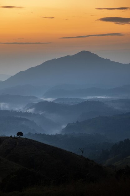 Paisagem montanhosa de manhã nebulosa