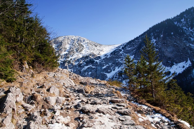 Paisagem montanhosa de neve com caminho de pedra