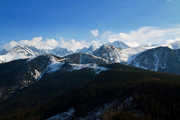 Paisagem montanhosa de neve com floresta