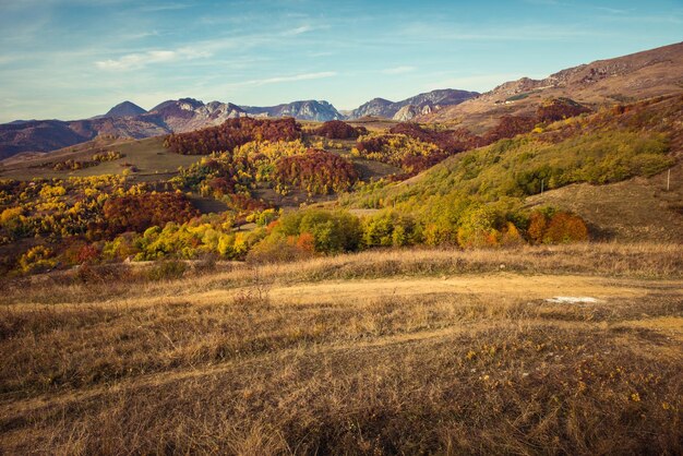 Paisagem montanhosa de outono com floresta colorida