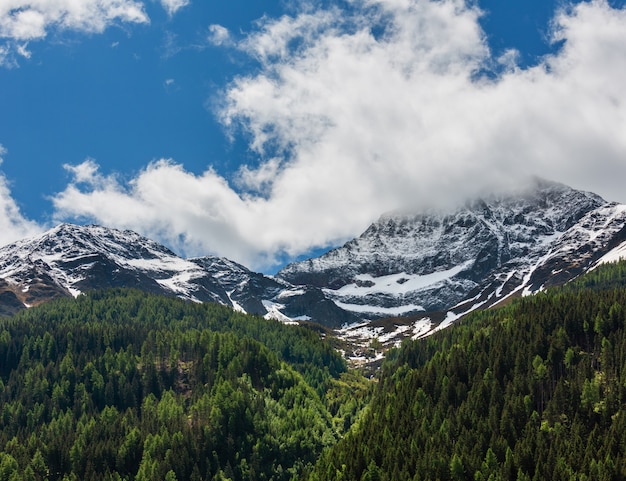 Paisagem montanhosa de verão com floresta de abetos na encosta (Silvretta Alps, Áustria).