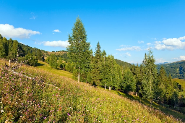 Paisagem montanhosa de verão com pastagens floridas na frente