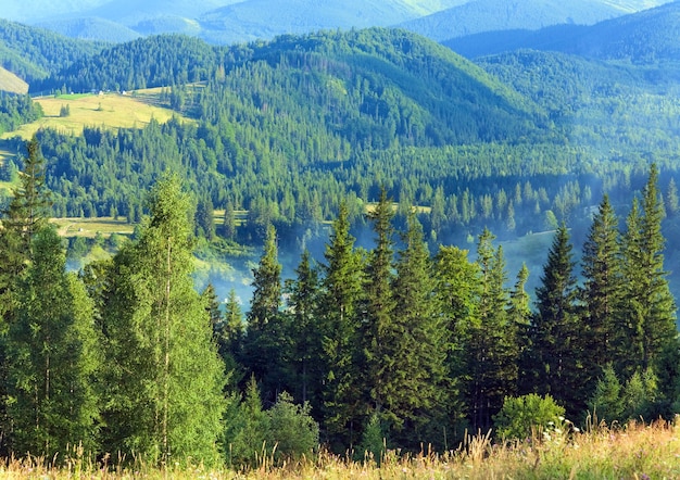 Paisagem montanhosa de verão com pastagens floridas na frente