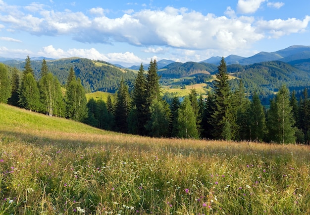 Paisagem montanhosa de verão com pastagens floridas na frente