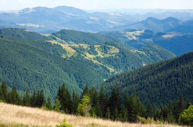 Paisagem montanhosa de verão com pastagens floridas na frente