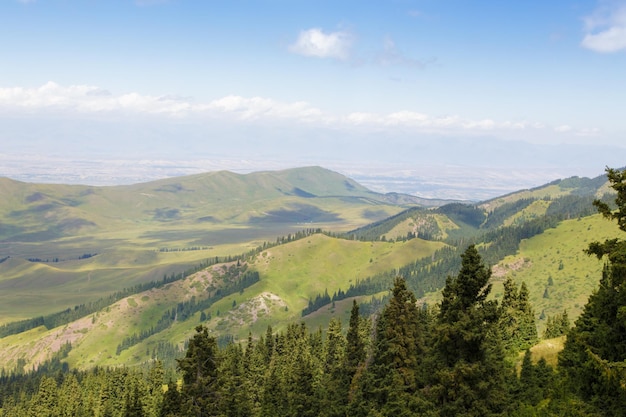 Paisagem montanhosa de verão no alto das montanhas Árvores altas de árvores de Natal teleférico na base de esqui