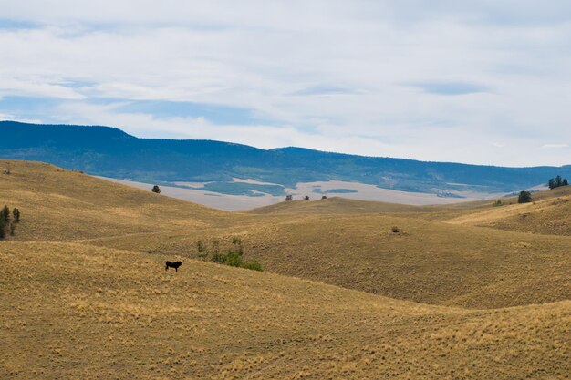 Paisagem montanhosa do Colorado no início do outono.