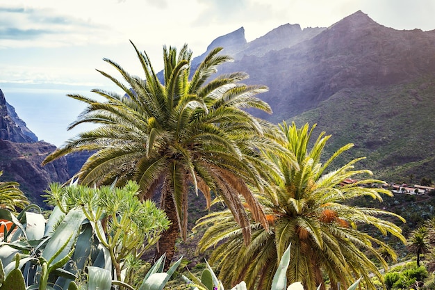 Paisagem montanhosa do desfiladeiro de Masca Belas vistas da costa com pequenas aldeias nas Ilhas Canárias de Tenerife