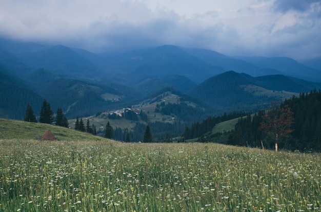 Paisagem montanhosa dos Cárpatos