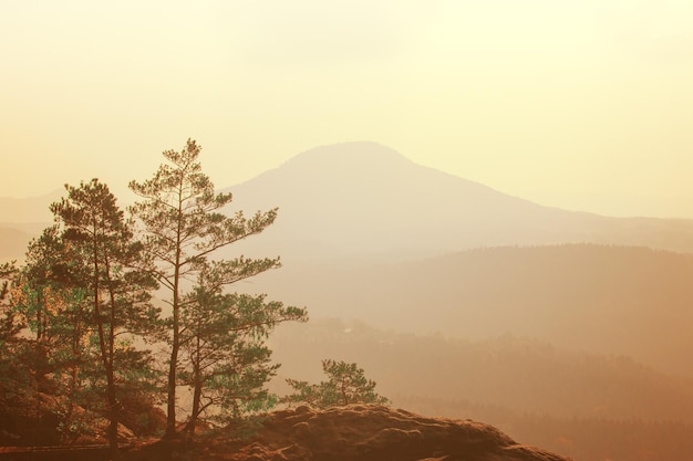 Paisagem montanhosa e árvores em primeiro plano em tons