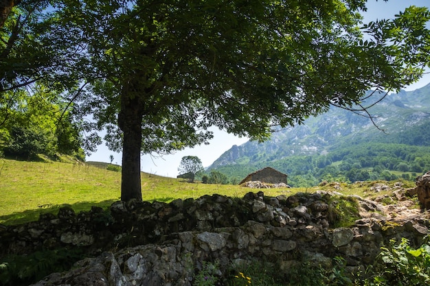 Paisagem montanhosa e curral Picos de Europa Asturias Espanha