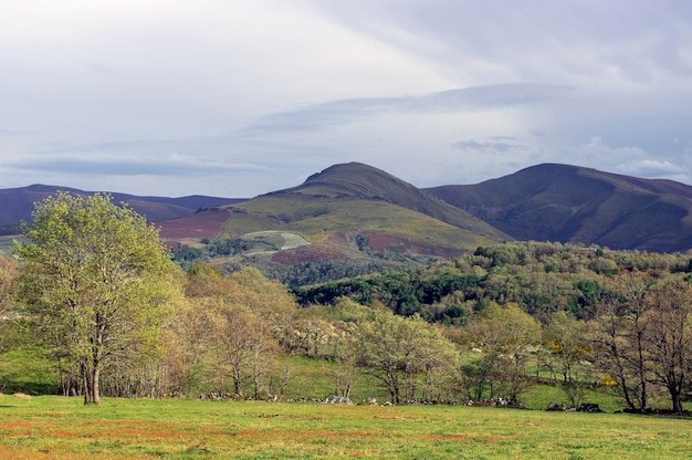 Paisagem montanhosa em dia nublado