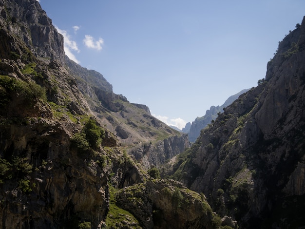 Paisagem montanhosa em um dia ensolarado de verão