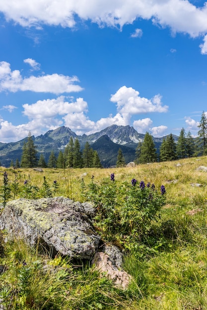 Paisagem montanhosa idílica nos alpes Bela paisagem de montanhas de árvores de prado e céu azul