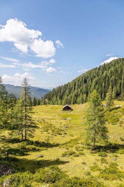 Paisagem montanhosa idílica nos alpes Bela paisagem de montanhas de árvores de prado e céu azul