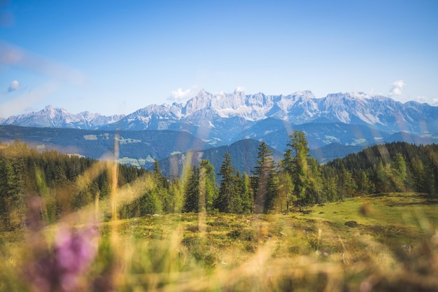 Paisagem montanhosa idílica nos Alpes Dachstein Áustria Belo cenário de montanhas de árvores de prado e céu azul